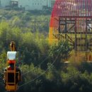 오섬권역 주차장 | 🏕️전남 구례 &#39;지리산 피아골 단풍축제&#39;🍁국내 가을여행지 추천( 구례 가볼만한곳, 사성암, 섬진강 스카이...