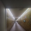 ■순수40년 숙박(비박)전국여행 136번째■ 보성(순천) 에서살아보기 ☆2026년 4월 12일 / 보성 대한다원 이미지