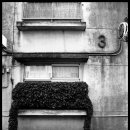 성성약품 이미지