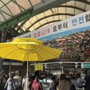 총각네동부