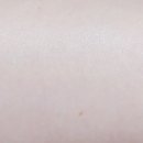 더 브리티쉬 이미지