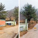 토종돼지농장 이미지