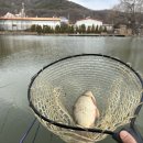 포천로L | [폴라데이캠핑장] 낚시 가능한 포천 캠핑장 C1사이트 2박 3일 이용후기