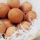 태안농장 이미지