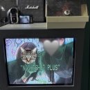 주휴소 | [용산 이태원] 분위기 좋은 이태원 술집 추천 '주휴소' 솔직 후기