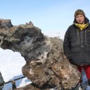 ﻿Will mammoths be brought back to life? Liquid blood find fuels cloning hopes 이미지