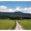 송전산방 이미지