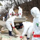 경주농원 이미지