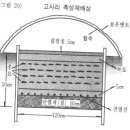 고사리 재배기술 이미지