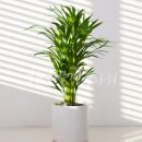 재화꽃집 이미지