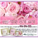 백만불호프 Daum카페