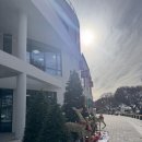 담양상회 | [롸갱's 후기] 담양 상설시장에서 찾은 진정한 가성비 맛집 담양상회본점 방문후기