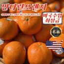 오렌지 이미지