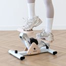 베이직핏 | 스텝퍼 추천, 홈트 유산소 운동기구 찾는다면? 트라택 스텝핏 베이직 후기