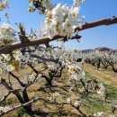 과일나라테마공원3 이미지