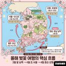 (주)성원파트너스 | 2026년 전국 벚꽃개화시기 총정리, 지역별 벚꽃 명소와 봄 여행지 추천
