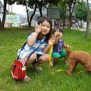 프리티 도그&캣 이미지