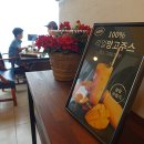 올댓멍즈 이미지