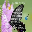 강릉솔향수목원 Daum카페