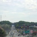 국가대표주유소 | [국내 여행] 부산에서 양구까지 왕복 12시간? 양국평화컵 전국유도대회 당일치기 응원 다녀온 찐 후기 🥋🚗