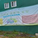 다복솔농장 이미지