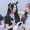 하연