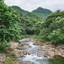 홍천군관광안내소 이미지