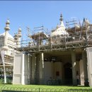 로얄피시 이미지