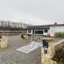 도평커피 이미지