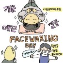 페이브왁싱