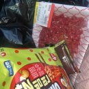 지윤정육점