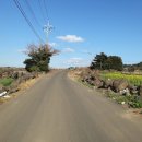 동일리-4 이미지