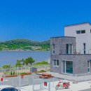 가덕 코이 이미지