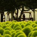 임진강약국 이미지