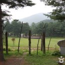 국립청태산자연휴양림 이미지