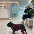 문산 동물병원 이미지