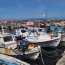 대해수산 이미지