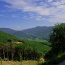 백운계곡둘레길 이미지