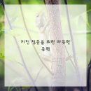 우리아이한의원 이미지