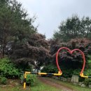 붕어섬축구장 이미지