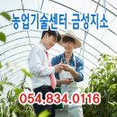 의성군농업기술센터(금성지소) | [농업기술센터 금성지소]농업의 미래, 선진농업기술의 현장