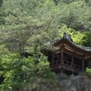 광산천 이미지