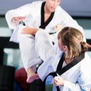 태권도연구방법 이미지