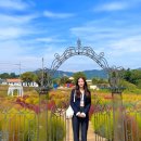 핑크뮬리 꽃단지 원 | 남원 신생마을 꽃단지, 가을 핑크뮬리와 백일홍이 물든 힐링 정원 산책