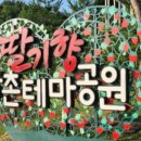 농촌테마공원3 이미지