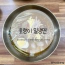 당리동-2 | 부산 당리동 냉면 맛집 호랭이 밀냉면 먹어본 후기