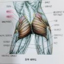 아무 전공자도 아닌 그냥 숙부1의 파묘 보고 온 잡소리 후기ㅋㅋㅋ (스포주의, 쓸데없이 길긔ㅋㅋ) 이미지