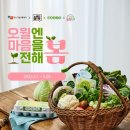 케이생활마켓 네이버블로그