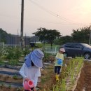 반해버린농장 이미지