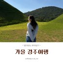 UR(경주시)-[대경로]-하-5 | [별것없는휴무일지] 가을을 느끼러 떠난 경주여행 (2박3일, 경주월드, 경주맛집, 황리단길 등)